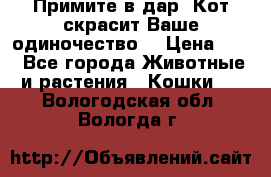 Примите в дар. Кот скрасит Ваше одиночество. › Цена ­ 0 - Все города Животные и растения » Кошки   . Вологодская обл.,Вологда г.